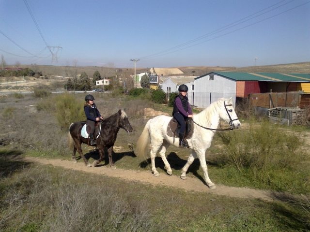  Passeggiate a cavallo a Madrid 